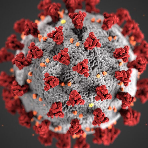 Coronavirus
